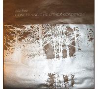 Milo Fine & Paul Metzger - Concerning the Other Condition [VINYL]