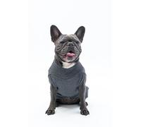 Milou Pet Knit Dog Sweater, Red Navy White Plaid Stripe Pattern, 100% Polyester, Comfortable Pullover for Small Medium Large Dogs (Gray Ladybug, 11)