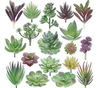 Miltonson Artificial Succulent Plants - Double Flocked Realistic Textured Cactus - Mini Feaux Succulents - 18 Pieces