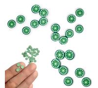Milty Craft Resin Sealed Fruit Slices, 12 Types, Deco Parts, Nails, Shakaka (Lime)