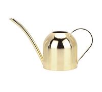 Mimdixy Watering Can Stainless Steel Bonsai Watering Can with Long Spout for House Plants Garden Flower,500ml (Gold)