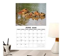 Mimoqk Calendar for Wall,English Schedule Planner | Wall-Mounted Monthly Calendar Ornament - for Students Kids Teens Adults Teachers Friends Classroom Dining Room