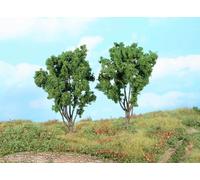 Mimosa Trees 13cm (2)