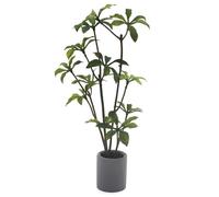 Minamzee 1:12 Dollhouse Accessories, Miniature Potted Plants Artificial Tiny Greenery,Miniature Plant Model for Dollhouse Decoration, DIY Handicrafts