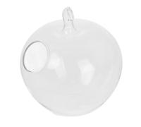 MINAOLULUS Apple-shaped Glass Fish Tank Small Desktop Aquarium for Betta Fish Clear Glass Vase for Hydroponics and Office Decor Multifunctional Air-purifying Home Accessory