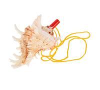 MINAOLULUS Conch Shell Boys and Girls Whistle Toy Sea Shell Instrument Decorative Seashells for Home Beach Conch Horn Music Toy for Boy Girl