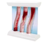 MINAOLULUS Dynamic Anatomical Vascular Model for Teaching and Learning, Human Blood Vessel Model Made of Acrylic and Hips, Simple to Use Educational Tool Suitable for Classroom and Doctor's