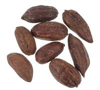 MINAOLULUS Natural Dried Fruit Foraging Parrot 8pcs Pack, Chewable Bird Cage Accessory for Biting and Shredding, Healthy Enrichment for Parrots and Small Birds