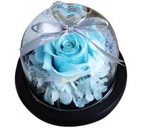 MINAOLULUS Preserved Single Eternal Rose Dome Valentine’s Day Ornament Romantic Home Décor with Heart-shaped Base Suitable for Anniversary and Dating Celebrations Random Color