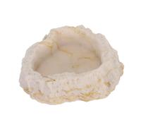 MINAOLULUS Reptile Water Bowl for Lizards Horned Frogs Corn Snakes Safe Easy to Clean Compact Design