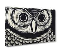 Mind Bending Owl Abstract Canvas Wall Art Print Ready to Hang, Framed Picture for Living Room Bedroom Home Office Décor, 30x20 Inch (76x50 cm)