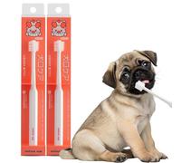 MIND UP 2 Pack Toothbrush for Dogs, Slim Cylinder Head with Soft Bristles for Tiny & Toy-Sized Dogs, Gentle Dental Care Toothbrush for Small Dog Teeth, Made in Japan