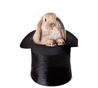 MindBlowing Rabbit In Magic Trick Hat Journal: 150 page lined journal