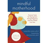 Mindful Motherhood: Practical Tools for Staying Sane During Pregnancy and Your Child's First Year (Noetic Books)