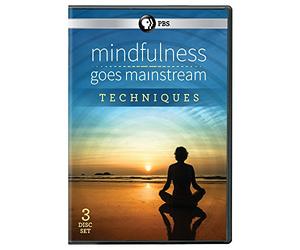 Mindfulness Goes Mainstream - Techniques DVD