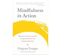Mindfulness in Action: Making Friends with Yourself Through Meditation and Everyday Awareness