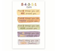 Mindfulness Tools Poster: Master the 5-4-3-2-1 Method - Panic Attack & Stress Management Guide, Canvas Wall Art for Bedroom, Study(Unframed,12x18inch(30x45cm))