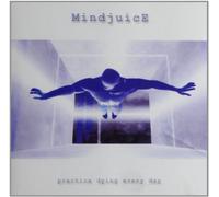 Mindjuice - Practice Dying Every Day