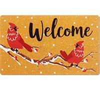 Mindsoft Welcome Doormat Rug Door Mat Front Door Rug for Home Indoor Holiday Decoration 18 x 30 inch