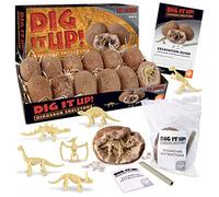 MindWare Dig It Up! Dinosaur Skeleton eggs excavation kit - Comes with 12 clay eggs, 12 chisel tools and 12 instruction sheets