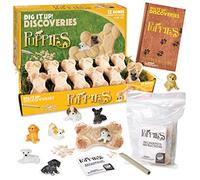 MindWare Dig It Up! Discoveries (Puppies) - Kit Includes Includes 12 Individually Wrapped D Bone Dig Eggs, 12 chiseling tools and Instructions - Ages 4 and up