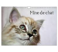 Mine de chat (Calendrier mural 2027 DIN A4 vertical), CALVENDO calendrier mensuel: Photos fascinantes des tigres de salon prises de très près.