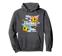 Minecraft Best Friends Forever Bees Flying Pink & Blue Pullover Hoodie, Adult Unisex, Dark Heather Grey, X-Large