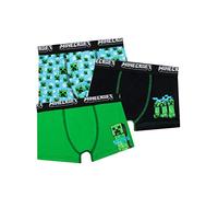 Minecraft Boys Briefs Pack of 3 Multicolor 10-11 Years