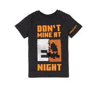 Minecraft Boy's Don'T Mine At Night Sequin Graphic Kids Grey T-Shirt | Size: 4-5 Years Minecraft Grey 4-5 Years