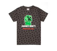 Minecraft Boys Grey Creeper Short Sleeved T-Shirt - 13-14 Years
