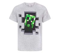 Minecraft Boys Grey Creeper Short Sleeved T-Shirt (5-6 Years)