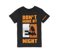 Minecraft Boys Grey Don'T Mine At Night Sequin Graphic Short Sleeved T-Shirt - 7-8 Years