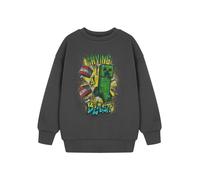 Minecraft Boys Grey Having A Blast Sweatshirt - 9-10 Years