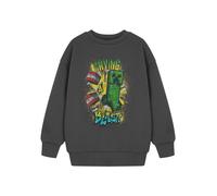 Minecraft Boy's Sweatshirt (Kids Charcoal) in Grey | Size: 3-4 Years Minecraft Grey 3-4 Years