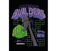 Minecraft Builders Canvas Print Black/green/purple (60.5Cm X 60.5Cm X 2Cm)