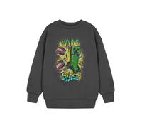 Minecraft Creeper Boys' Streetwear Long Sleeve Top | Grey Cartoon Graphic Tee | Fun Explosive Theme for Casual Wear | Crew Neck Pull On Shirt | Game Character Apparel