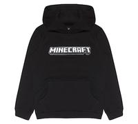 Minecraft Having A Blast Pullover Hoodie, Kids, 7-13 Years, Black, Official Merchandise