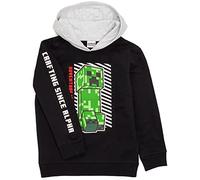 Minecraft Hoodie for Boys with Sprites and Creeper Design Options | Black Graphic Hoodie for Kids and Teens | Steve, Skeleton, Zombie | Hoodie with Video Game Villains