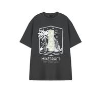 Minecraft Mens Grey Craft Without Limits Short Sleeved T-Shirt - Medium