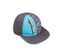 Minecraft Men's Snapback Flat Cap | Grey | Official Merch | Size: Medium/Large Minecraft Grey M/L