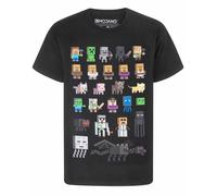 Minecraft Short Sleeved T-Shirt (Boys Black)