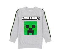Minecraft Unisex Kids Grey Creeper & Tnt Sequin Panel Sweatshirt - 13-14 Years