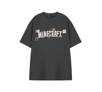 Minecraft Womens Grey Logo Short Sleeved T-Shirt - Small