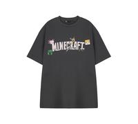 Minecraft Women's Logo Short Sleeved T-Shirt | Charcoal | Officially Licensed Merch in Grey | Size: Small Minecraft Grey S