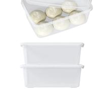 Minekkyes 16L 2 Pcs Clear Plastic Pizza Dough Boxes with Lids, Rectangle Food Storage Containers for Vegetables and Fruits