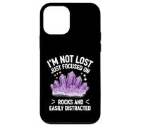 Mineral Collector Focused on Rocks and Geology Case for iPhone 12 mini
