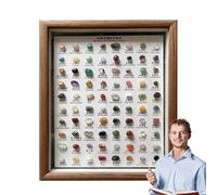 Mineral Identification Kit - 80X Mineral Specimens, Classic Wooden Frame, Stone Ornaments, Compact Collector Design | for rock collection geology study educational hobbies classroom laboratory science
