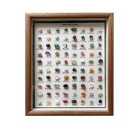 Mineral Identification Kit, Collection | 80x Portable Raw Gems for Collection, Home Decoration, Classic Stone Ornaments, Rough Set in a Frame