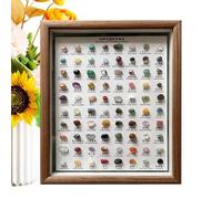 Mineral Specimens Collection - 80 Piece Raw Set, Authentic Raw Crystals | Wooden Frame, Home Decor, Educational Gift for Collectors and Passion