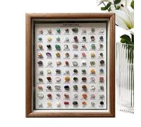 Minerals Set - 27.5 x 22.5 cm, 80 Pieces Raw Collection | Wooden Frame Identification Set | Educational Display Natural Stone Decorative Ornament for Living Room Entrance